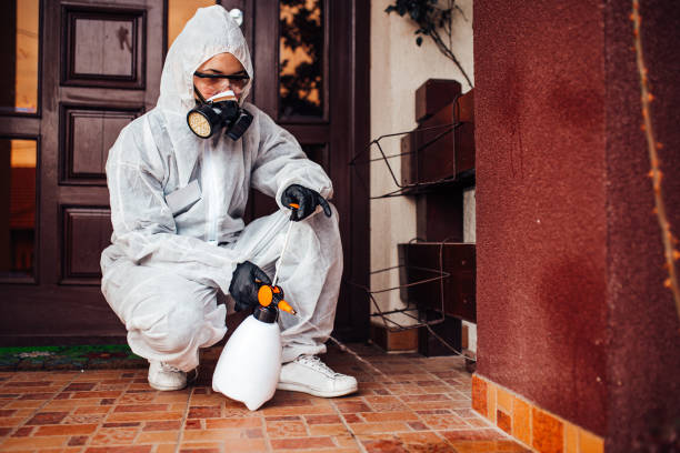 Attic and Crawl Space Rodent Treatment in Damascus